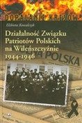 Działalnoś... - Elżbieta Kowalczyk -  books from Poland