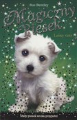 Magiczny p... - Sue Bentley -  books in polish 