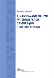 Picture of Finansowanie dłużne w jednostkach samorządu terytorialnego