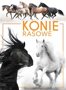 Picture of Konie rasowe