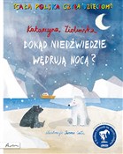 Dokąd nied... - Katarzyna Zielińska -  Polish Bookstore 