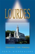 Polska książka : Lourdes. O... - Aneta Maniecka (red.)