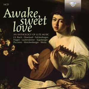 Picture of Awake, Sweet Love An Anthology of Lute Music