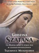 Godzina Sz... - Livio Fanzaga, Diego Manetti -  books in polish 