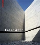 polish book : Tadao Ando... - Yann Nussaume