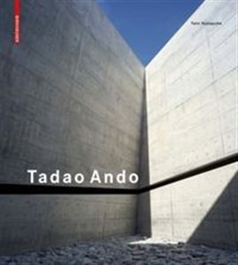 Picture of Tadao Ando