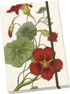 Obrazek Notatnik ozdobny A5 STNOTE 116 Nasturcja