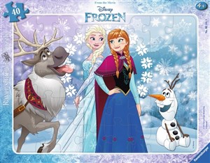 Obrazek Puzzle 2D 40 ramkowe Kraina Lodu Anna i Elsa 6141