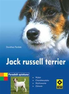 Obrazek Jack Russell Terrier