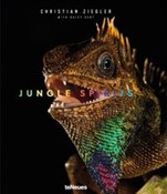 polish book : Jungle Spi... - Christian Ziegler, Daisy Dent