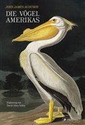 Die Vögel ... - John James Audubon -  books in polish 