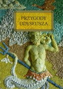 Przygody O... - Barbara Ludwiczak -  books in polish 