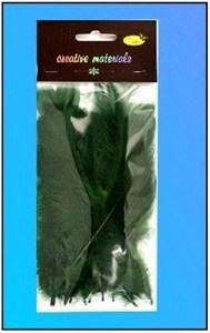 Obrazek Piórka miękkie ciemnozielone 15szt