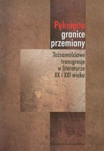 Obrazek Pęknięcia granice przemiany Tożsamościowe transgresje w literaturze XX i XXI wieku