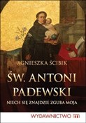 Św Antoni ... - Agnieszka Ścibik -  foreign books in polish 