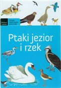Ptaki jezi... - Michał Brodacki -  Polish Bookstore 
