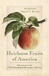 Obrazek Heirloom Fruits of America Selections from the USDA Pomological Watercolor Collection