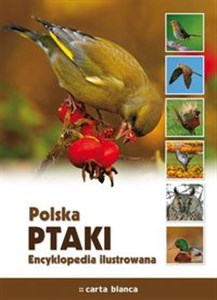 Obrazek Polska Ptaki Encyklopedia ilustrowana