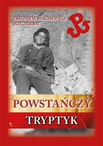 Picture of Powstańczy tryptyk