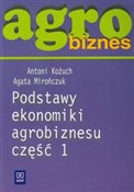 Agrobiznes... - Antoni Kożuch, Agata Mirończuk -  books in polish 
