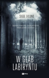Picture of W głąb labiryntu