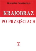 Krajobraz ... - Zbigniew Żmigrodzki -  books in polish 