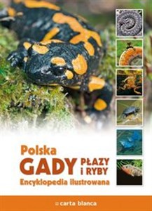 Picture of Polska Gady płazy i ryby Encyklopedia ilustrowana