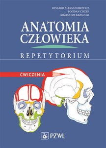 Picture of Anatomia człowieka Repetytorium Ćwiczenia