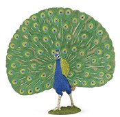 Paw -  foreign books in polish 