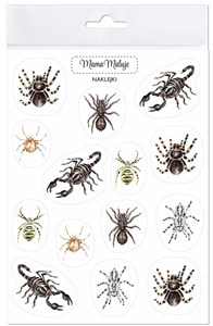 Picture of Naklejki Pajęczaki