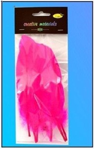 Picture of Piórka twarde różowe 10szt