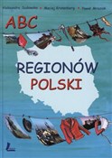 ABC region... - Maciej Kronenberg, Aleksandra Sudowska, Paweł Mroziak -  foreign books in polish 
