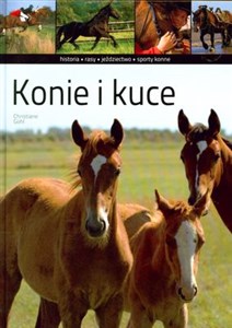 Obrazek Konie i kuce