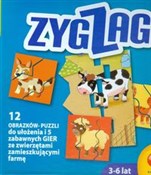 polish book : Zyg Zag