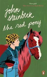 Picture of The Red Pony