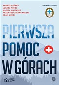 Pierwsza p... - Andrzej Górka, Łukasz Migiel, Maciej Mikiewicz, Przemysław Gancarczyk, Adam Ubych -  foreign books in polish 