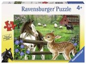 Polska książka : Puzzle Now...