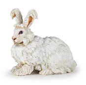 polish book : Krolik ang...