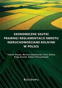 Ekonomiczn... - Tomasz Klusek, Mariusz Chądrzyński, Piotr Gołasa, Kinga Gruziel, Robert Pietrzykowski -  books in polish 