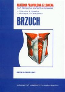 Picture of APC Brzuch