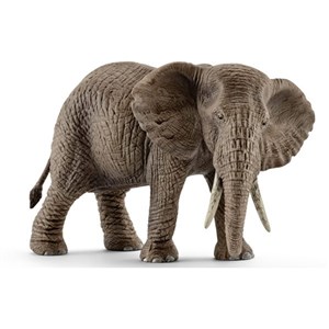 Picture of Samica słonia afrykańskiego