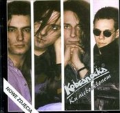 Polska książka : Ku niebosk...