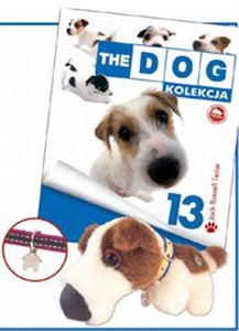 Picture of Dog Kolekcja 13 Jack Russell Terrier