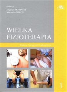 Picture of Wielka fizjoterapia. Tom 1