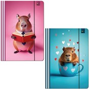 Książka : Teczka A4 ...