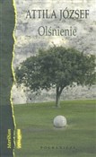 Olśnienie - Attila József -  foreign books in polish 