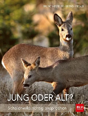 Obrazek HESPELER, B: JUNG ODER ALT?