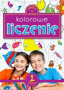 Obrazek Kolorowe liczenie Zeszyt 1