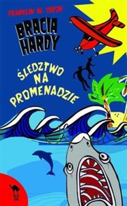 Obrazek Bracia Hardy Śledztwo na promenadzie