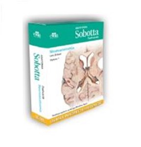 Picture of Anatomia Sobotta Flashcards Neuroanatomia Łacińskie mianownictwo anatomiczne
